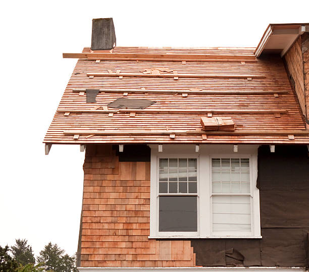 Best Storm Damage Siding Repair  in Bazon, CA